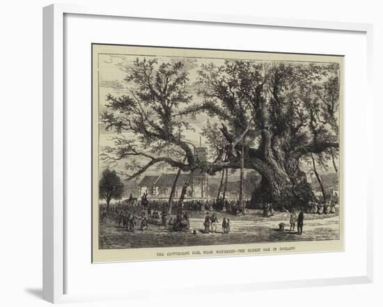 The Cowthorpe Oak, Near Wetherby, the Oldest Oak in England-null-Framed Giclee Print