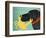 The Crab Black Dog Yellow Crab-Stephen Huneck-Framed Giclee Print