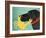 The Crab Black Dog Yellow Crab-Stephen Huneck-Framed Giclee Print