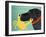 The Crab Black Dog Yellow Crab-Stephen Huneck-Framed Giclee Print