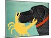 The Crab Black Dog Yellow Crab-Stephen Huneck-Mounted Giclee Print