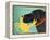 The Crab Black Dog Yellow Crab-Stephen Huneck-Framed Premier Image Canvas