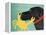 The Crab Black Dog Yellow Crab-Stephen Huneck-Framed Premier Image Canvas