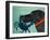 The Crab Black-Stephen Huneck-Framed Giclee Print