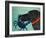 The Crab Black-Stephen Huneck-Framed Giclee Print