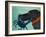 The Crab Black-Stephen Huneck-Framed Giclee Print