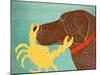 The Crab Choc Dog Yellow Crab-Stephen Huneck-Mounted Giclee Print