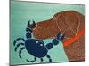 The Crab Choc-Stephen Huneck-Mounted Giclee Print