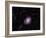 The Crab Nebula-Stocktrek Images-Framed Photographic Print