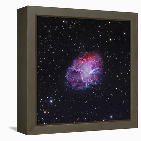 The Crab Nebula-Stocktrek Images-Framed Premier Image Canvas