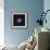 The Crab Nebula-Stocktrek Images-Framed Photographic Print displayed on a wall