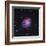 The Crab Nebula-Stocktrek Images-Framed Photographic Print