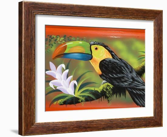 The Crafts Town of Sarchi Famous for Its Decorative Painting and Ox Carts, Costa Rica-R H Productions-Framed Photographic Print