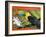 The Crafts Town of Sarchi Famous for Its Decorative Painting and Ox Carts, Costa Rica-R H Productions-Framed Photographic Print