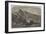 The Crater of Mount Etna-Samuel Read-Framed Giclee Print