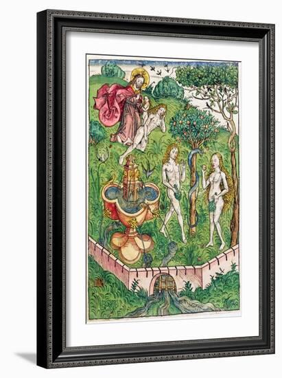 The Creation and the Temptation of Adam and Eve, c.1491-Michael Wolgemut Or Wolgemuth-Framed Giclee Print