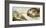 The Creation of Adam-Michelangelo-Framed Art Print