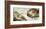 The Creation of Adam-Michelangelo-Framed Art Print