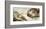 The Creation of Adam-Michelangelo-Framed Art Print