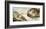 The Creation of Adam-Michelangelo-Framed Art Print