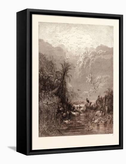 The Creation of Birds-Gustave Dore-Framed Premier Image Canvas