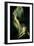 The Creation of Eve, 1791-93-Henry Fuseli-Framed Giclee Print