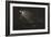 The Creation of Light, C.1827 (Mezzotint)-John Martin-Framed Giclee Print