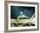 The Creature From The Black Lagoon, 1954-null-Framed Photo