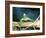 The Creature From The Black Lagoon, 1954-null-Framed Photo