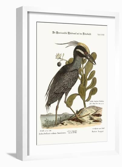 The Crested Bittern, 1749-73-Mark Catesby-Framed Giclee Print