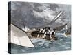 Stretched Canvas Print