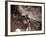 The Crew of a Yarmouth Herring Boat Pull in Their Catch on a Storm Tossed North Sea, 1935-null-Framed Photographic Print