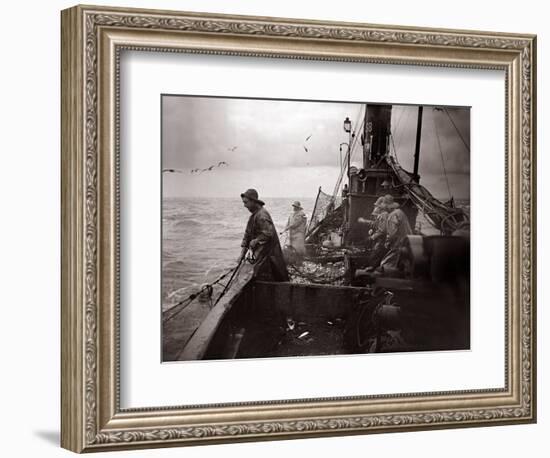 The Crew of a Yarmouth Herring Boat Pull in Their Catch on a Storm Tossed North Sea, 1935-null-Framed Photographic Print