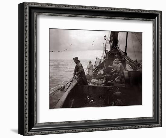 The Crew of a Yarmouth Herring Boat Pull in Their Catch on a Storm Tossed North Sea, 1935-null-Framed Photographic Print