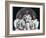 The Crew of Apollo 11, 1969-null-Framed Giclee Print