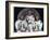 The Crew of Apollo 11, 1969-null-Framed Giclee Print