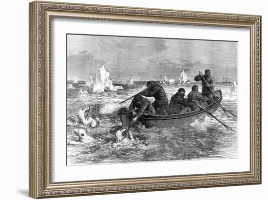 The Crew of the 'Pandora' Hunting Polar Bears, 1875-null-Framed Art Print