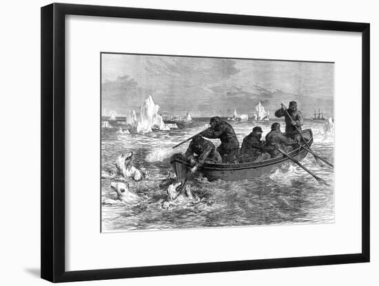 The Crew of the 'Pandora' Hunting Polar Bears, 1875-null-Framed Art Print