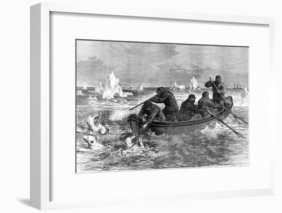 The Crew of the 'Pandora' Hunting Polar Bears, 1875-null-Framed Art Print