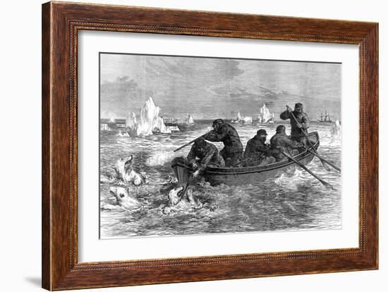 The Crew of the 'Pandora' Hunting Polar Bears, 1875-null-Framed Art Print