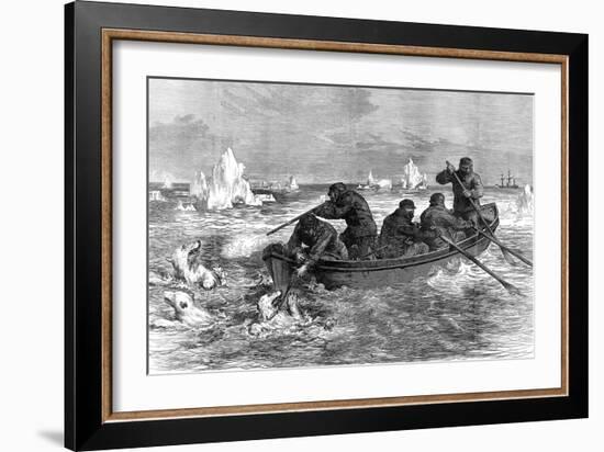 The Crew of the 'Pandora' Hunting Polar Bears, 1875-null-Framed Art Print