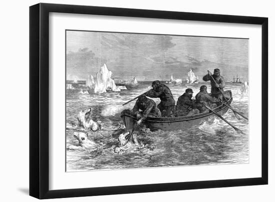 The Crew of the 'Pandora' Hunting Polar Bears, 1875-null-Framed Art Print