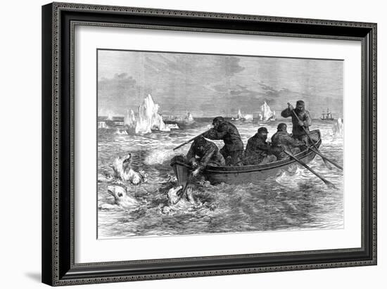 The Crew of the 'Pandora' Hunting Polar Bears, 1875-null-Framed Art Print