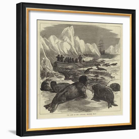 The Crew of the Pandora Shooting Seals-null-Framed Giclee Print