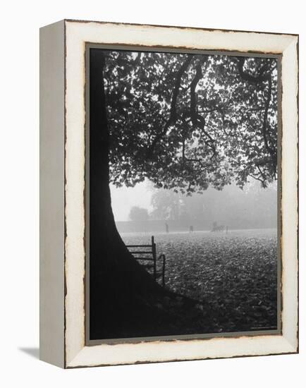 The Cricket Fields in the Back of the Ancient College Building-Cornell Capa-Framed Premier Image Canvas