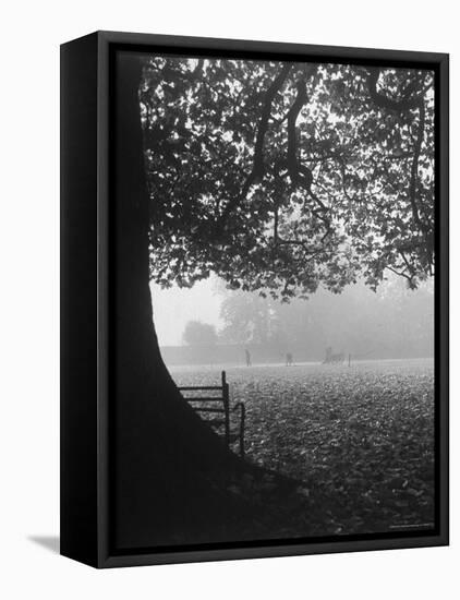 The Cricket Fields in the Back of the Ancient College Building-Cornell Capa-Framed Premier Image Canvas