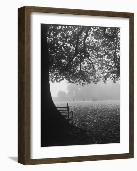 The Cricket Fields in the Back of the Ancient College Building-Cornell Capa-Framed Photographic Print