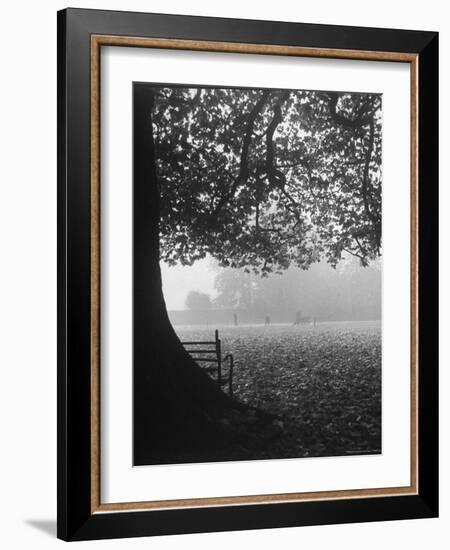 The Cricket Fields in the Back of the Ancient College Building-Cornell Capa-Framed Photographic Print