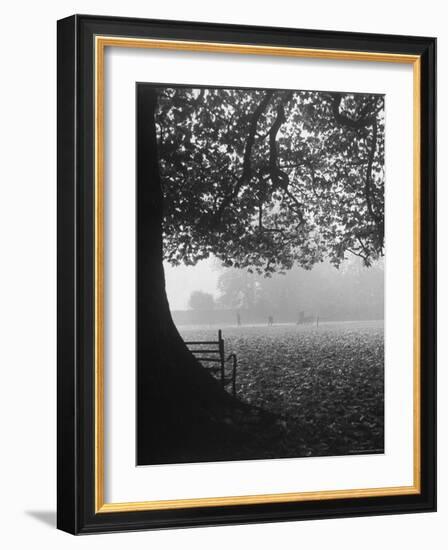 The Cricket Fields in the Back of the Ancient College Building-Cornell Capa-Framed Photographic Print
