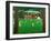 The Cricket Match, 1987-Larry Smart-Framed Giclee Print